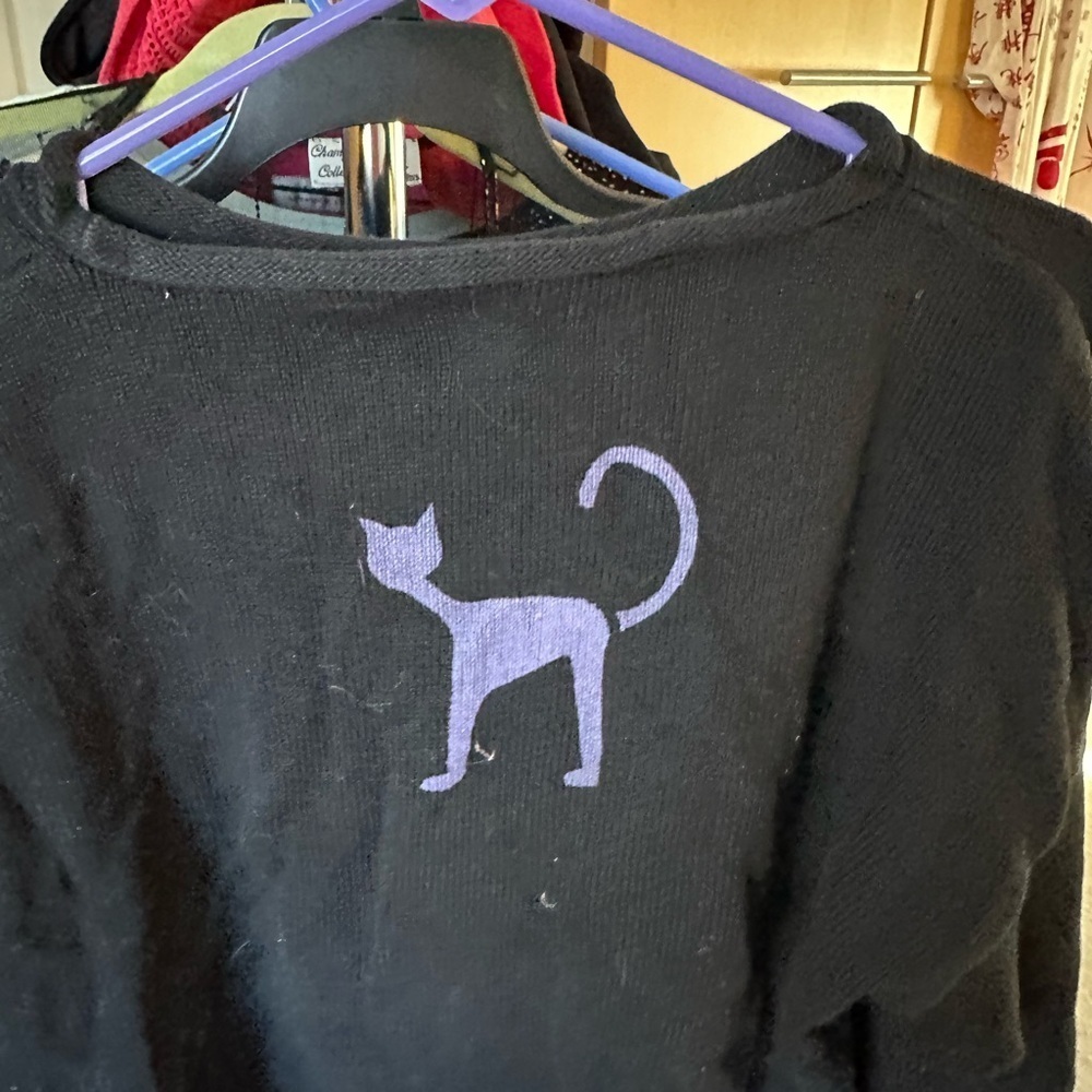 Chic Black Cat Sweater with Colorful Accents - Picture 2 of 2